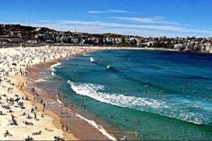 أستراليا تراجع قوانين السلاح بعد مأساة بونداي