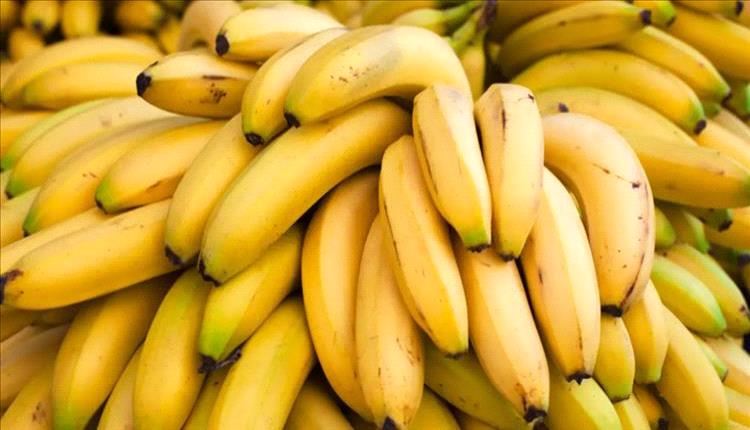 بعد حظر طويل.. سوريا تعاود استيراد الموزع اليمني
