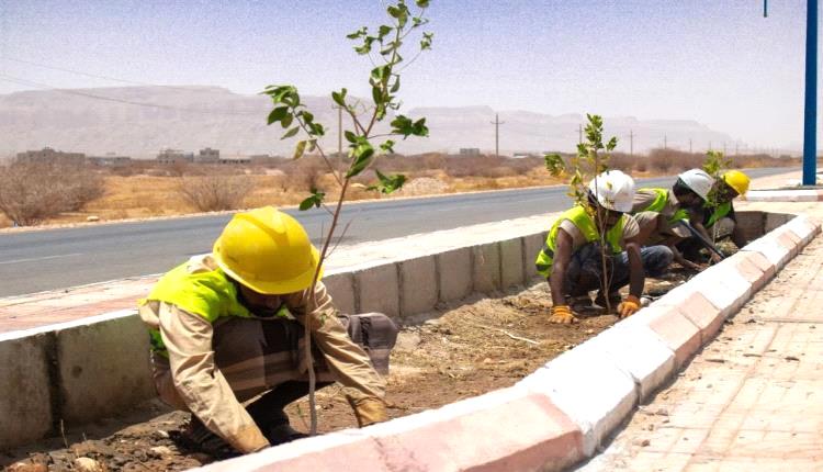 بدء أعمال التشجير لعدد من الشوارع الرئيسية بمدينة عتق
