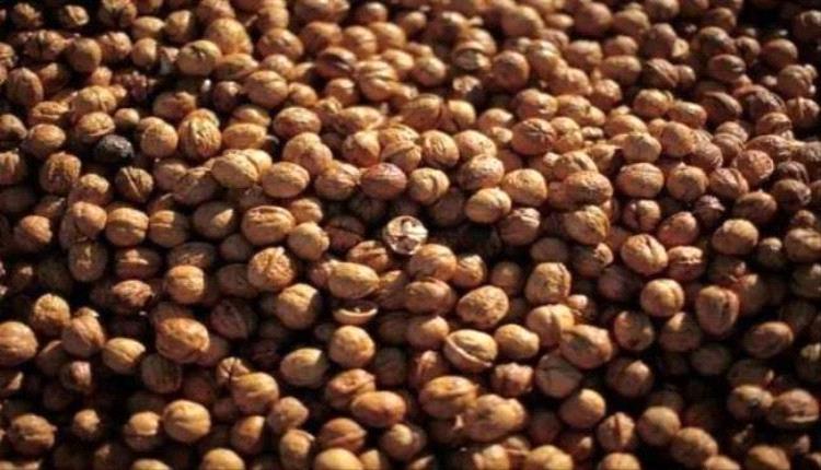 ما أفضل الأطعمة لصحة الدماغ بعد سن الأربعين؟
 
