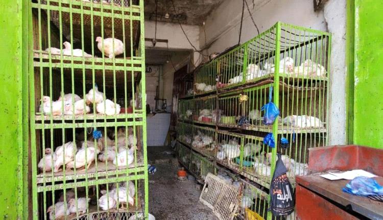 عدن تحت وطأة الانهيار الاقتصادي: الدجاج يتحول من وجبة يومية إلى حلم بعيد المنال