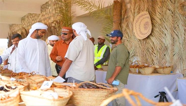 سقطرى تحتفي بالنخيل: انطلاق مهرجان التمور بمشاركة أكثر من 30 صنفًا نادرًا