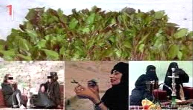 حين تنقلب جلسات القات إلى محاكم نسائية.. شيشة، غيبة، وفضائح غرف النوم