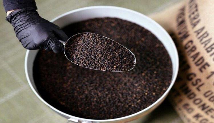 الفلفل الأسود بين الفوائد الغذائية والمحاذير الدوائية
 

