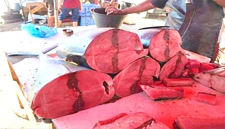 عدن.. مدينة البحر التي جاع أهلها للسمك