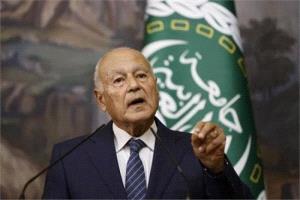 أبو الغيط يصف دعوات ضم الضفة الغربية بـ