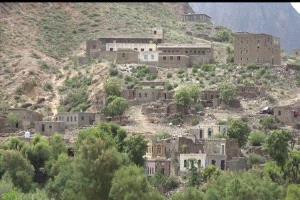 كارثة في الأزارق.. الطفلة أشجان ضحية جديدة للكلاب الضالة وصمت السلطات