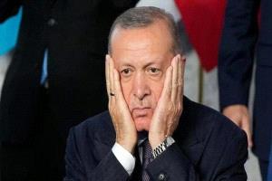 أردوغان.. حين يصمت المتاجرون بالقضايا في لحظة الحقيقة