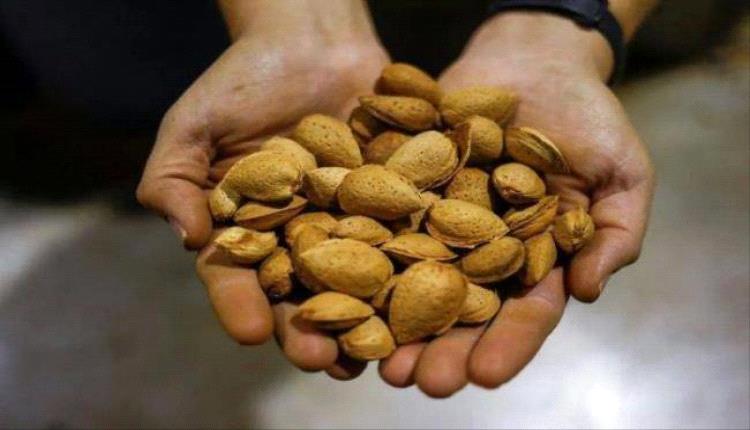 ماذا يحدث لجسمك إذا تناولت اللوز بانتظام؟
 
