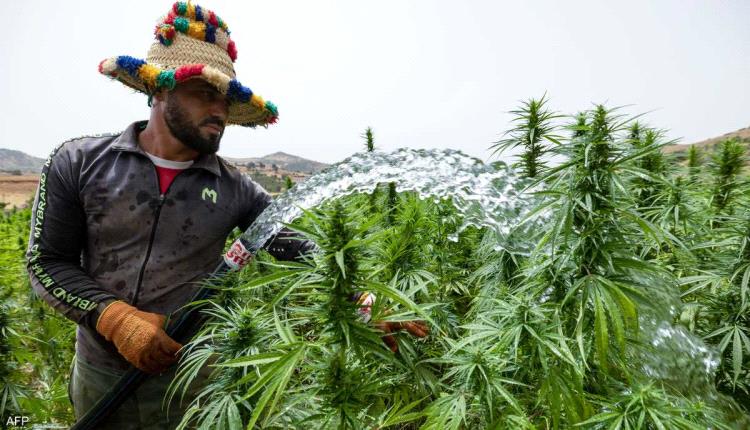 موجة حر استثنائية تضرب المغرب.. تحذير للأطفال والمسنين