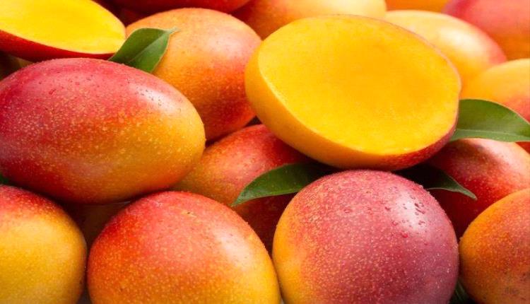 المانجو تُعزّز صحة القلب لدى المُسنّات
 
