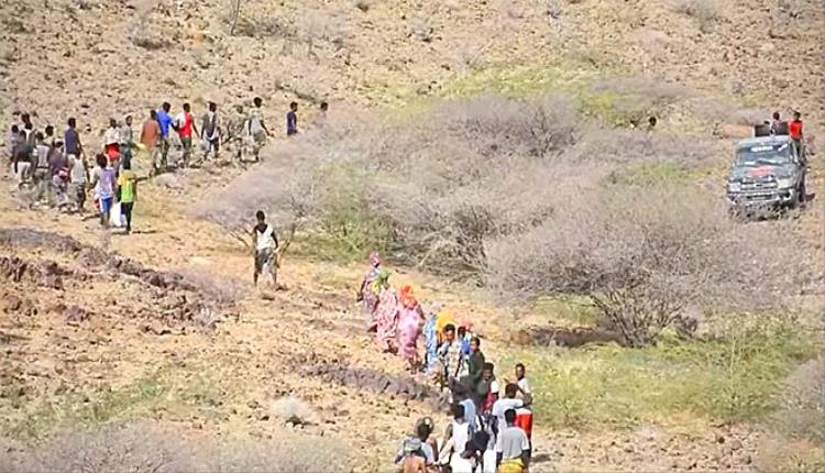تحرير 177 مهاجرًا غير شرعي وضبط 6 مهربين في حملة أمنية بذو باب المندب