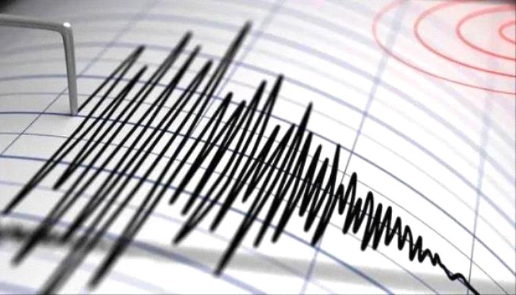 زلزال بقوة 5,9 درجات يهز تايوان
 
