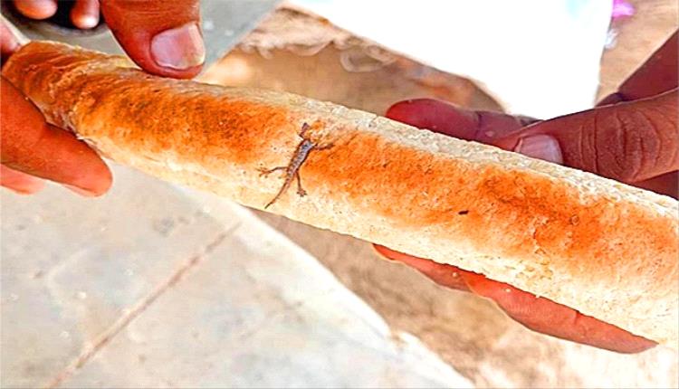 زنجبار.. فقر وجوع وحشرات داخل أقراص الروتي