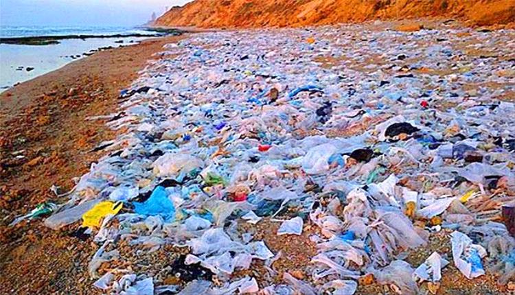 حماية البيئة بلحج تحذّر: الأكياس البلاستيكية خطرٌ بيئيٌ يهدد الإنسان والطبيعة