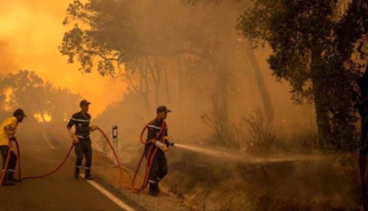 المغرب.. تحذير من اندلاع حرائق غابات بعدة أقاليم في الأيام المقبلة