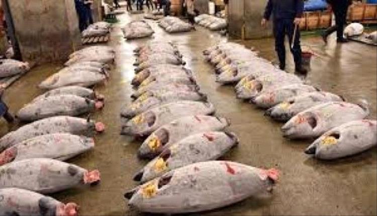 بعد سنوات من التوتر النووي.. الصين ترفع الحظر عن المأكولات البحرية اليابانية