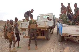 تحرير 183 مهاجرًا أفريقيًا وضبط 5 مهربين في حملة أمنية 