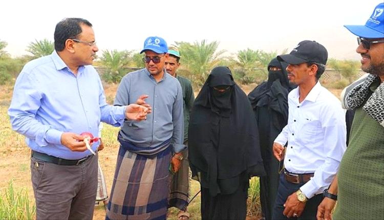 السقطري: مشاريع زراعية لتعزيز الاكتفاء الذاتي في سقطرى بدعم دولي