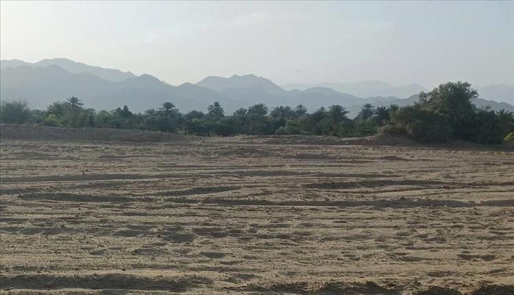 زراعة تحتضر وشعب يجوع .. النجد نموذجا لانهيار الامن الغذائي في الريف اللحجي
