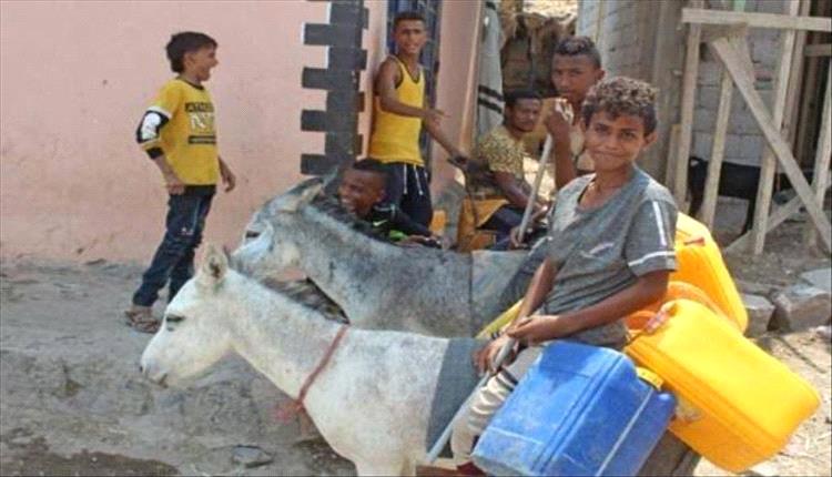حمير أبين تختفي.. مزارعو المحافظة يستغيثون بعد “نزوح جماعي” إلى عدن!