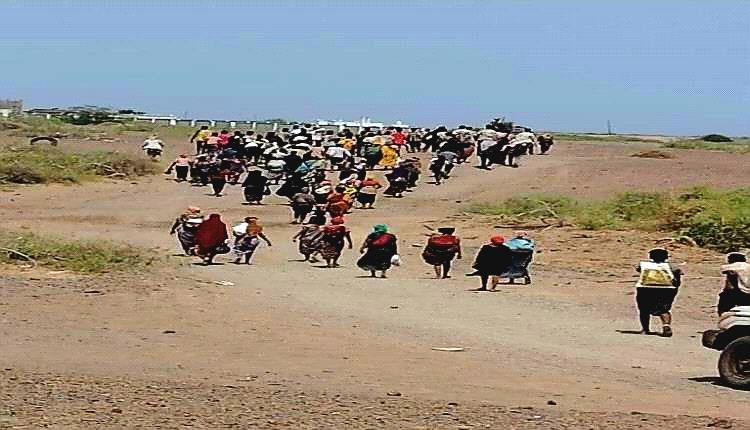 المهاجرون يتدفقون.. والسواحل اليمنية تُصارع التهريب والفوضى