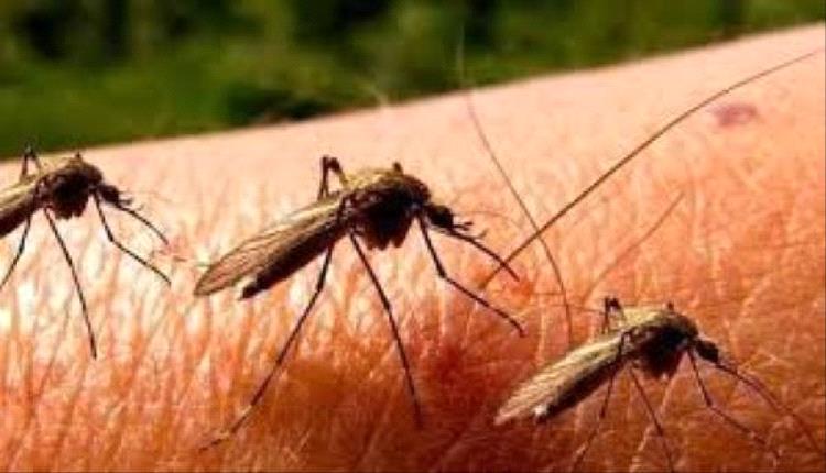 اكتشاف فيروس في بريطانيا يثير مخاوف صحية ويُدعو للاستعداد المبكر