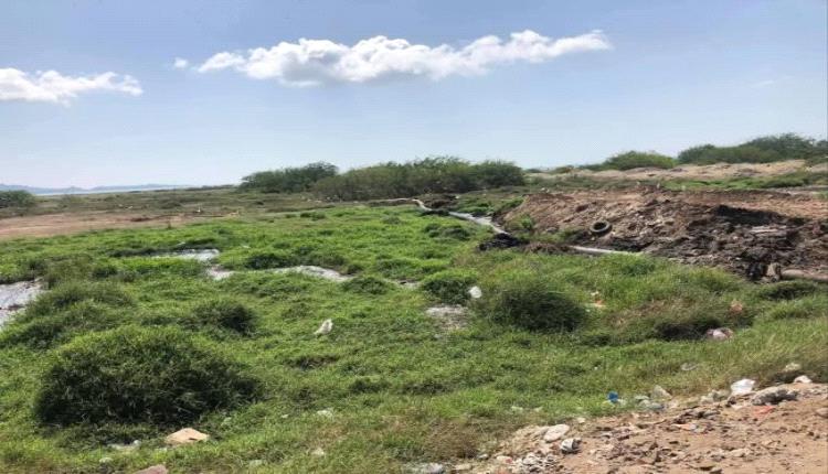سكان يشتكون من "غزو البعوض".. ويطالبون بحملة رش عاجلة
