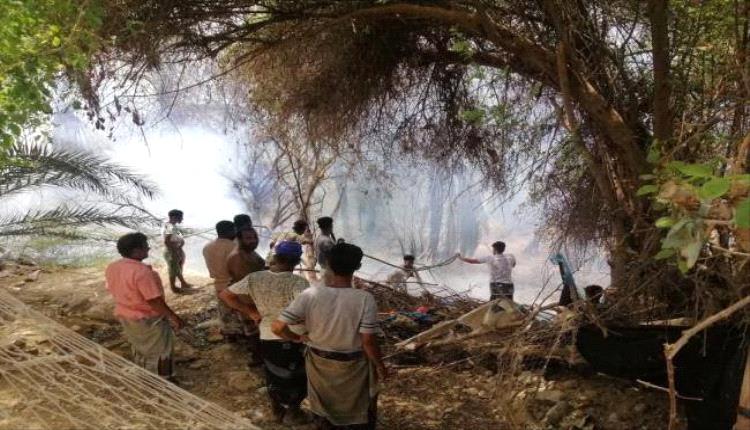 حريق في مزارع الديس الشرقية والسلطة تطالب بدعم الإطفاء
