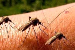 اكتشاف فيروس في بريطانيا يثير مخاوف صحية ويُدعو للاستعداد المبكر