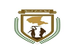 قوات دفاع شبوة تطيح بقياديين بارزين في تنظيم القاعدة أثناء محاولتهما التسلل إلى مأرب