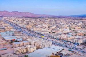 الكلاب الضالة تهاجم حظيرة في رضوم شبوة وتفترس 52 رأس غنم في ليلة واحدة
