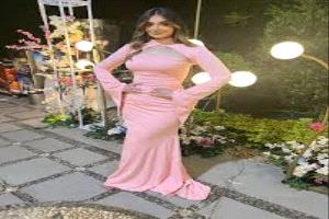 ملك زاهر تعلّق على غياب تامر حسني عن زفاف شقيقتها