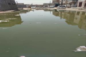 سكان أحياء الممدارة يعانون من طفح مياه المجاري والصرف الصحي داخل الشوارع والمنازل
