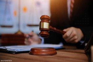 محكمة دمنهور توضح حيثيات حكم المؤبد في "واقعة الطفل ياسين"