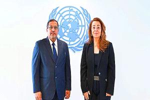 فيينا.. وزير العدل يبحث مع الأمم المتحدة تحديث التشريعات الجنائية ودعم جهود مكافحة الإرهاب