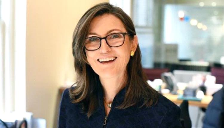 كاثي وود: أسهم الذكاء الاصطناعي ليست فقاعة، وتصحيحات محتملة فقط