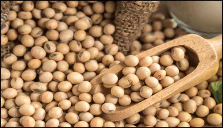 فول الصويا يقفز لأعلى مكاسب نصف سنوية بدعم اتفاق أمريكي-صيني