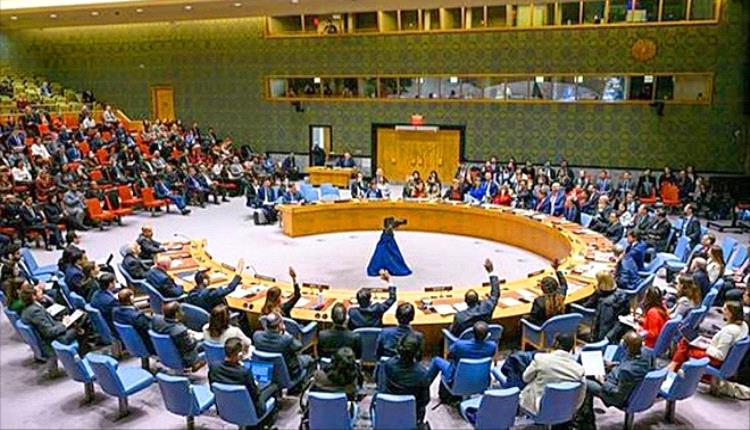 قوة دولية من 20 ألف جندي لنزع سلاح غزة.. مجلس الأمن يبدأ مفاوضات حول خطة ترامب للسلام