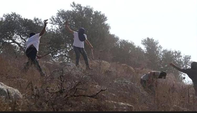 عاجل - بيان سعودي عن واقعة حرق مسجد الحاجة حميدة