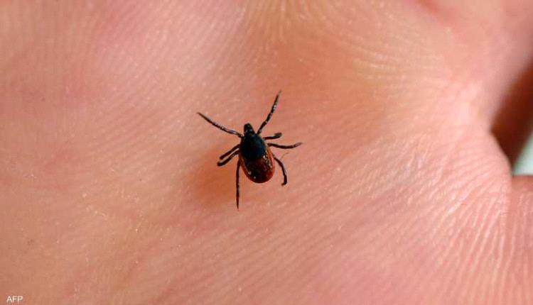 من لدغة إلى موت.. توثيق أول وفاة بسبب متلازمة "ألفا غال"