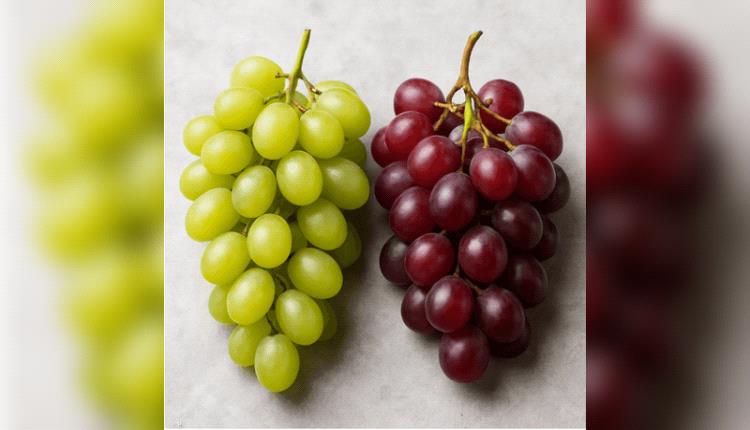 أيهما أفضل.. العنب الأحمر أم الأخضر؟