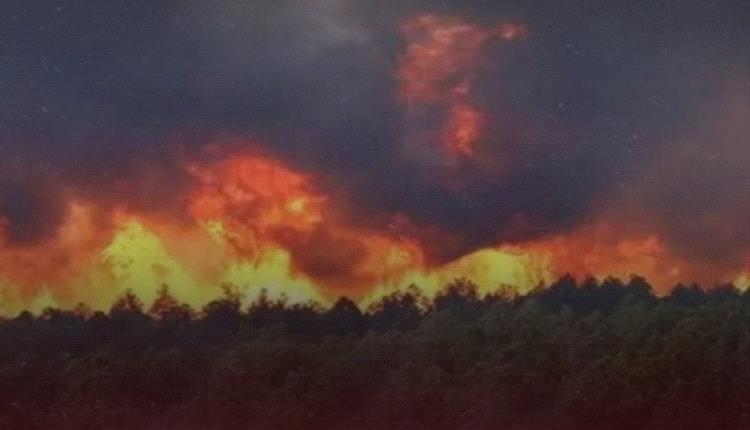 عاجل.. إيران تطلب مساعدة دولية عاجلة لإطفاء حرائق الشمال