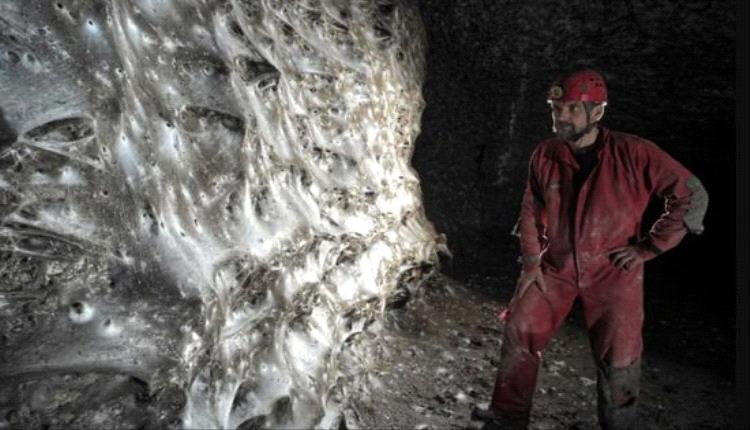 شبكة عنكبوت عملاقة تتحدى الطبيعة في كهف كبريتي