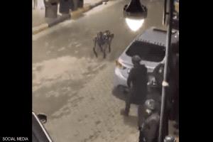 روبوت يشارك في "عملية الرمثا" الأمنية في الأردن