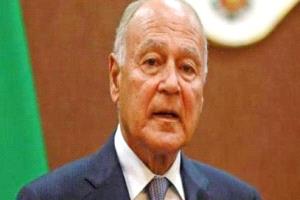 عاجل | أبو الغيط: اتفاق البرنامج التنموي الموحد يعزز العمل المؤسسي 