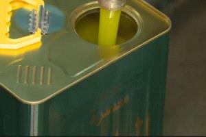 عاجل الزراعة الاردنيه : لا زيت مغشوش في مهرجان الزيتون