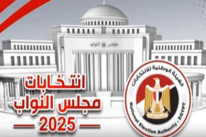 رئيس هيئة الانتخابات في مصر لا يستبعد إلغاء المرحلة الأولى