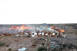 المنصورة تتصدى للمواد الغذائية الفاسدة: إتلاف 5 أطنان لحماية المستهلك