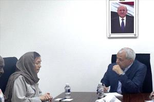 نائب وزير الخارجية يناقش تطوير أداء بعثة الأمم المتحدة في الحديدة بعدن